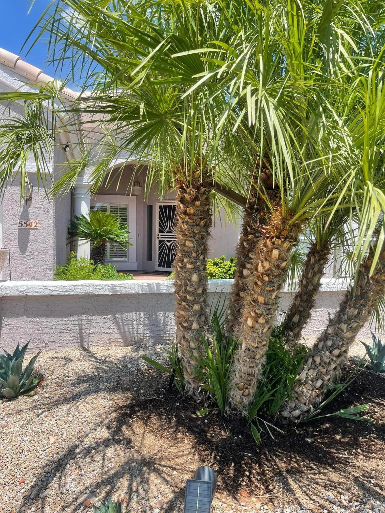 Private Tuscany Oasis With Pool - Perfect For Families, Couples Or Business Travelers Home Phoenix Exterior foto